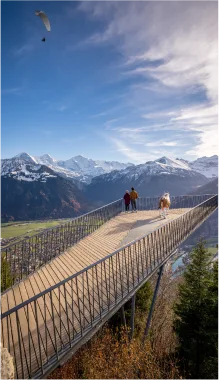 swiss travel pass mountain excursions